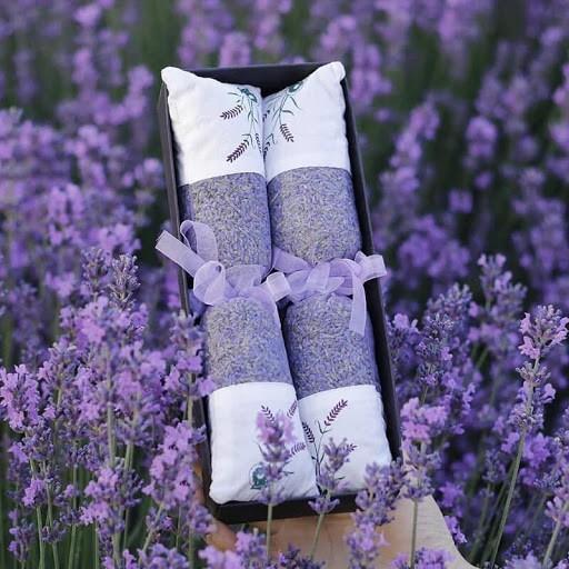 Sỉ Túi Thơm Hoa Oải Hương Lavender