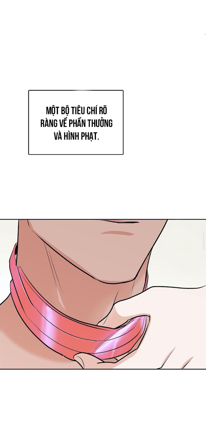 thầy giáo thể dục m chapter 19 37