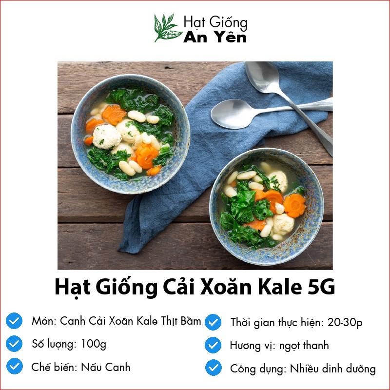 Hạt giống Cải Xoăn Kale, nhanh thu hoạch, dễ trồng, nảy mầm và năng suất cao