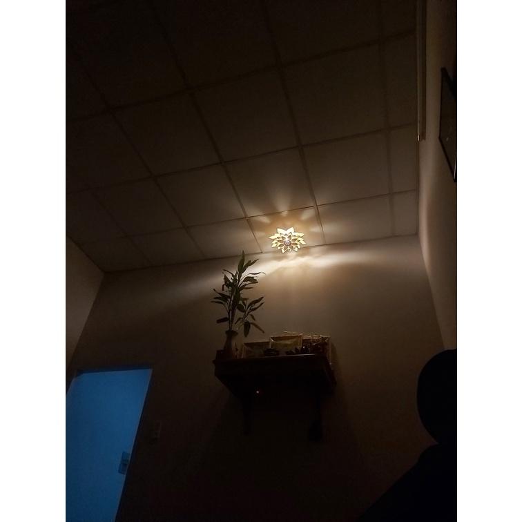 Bộ 50 đèn gỗ hoa sen DIY-Size 37cm