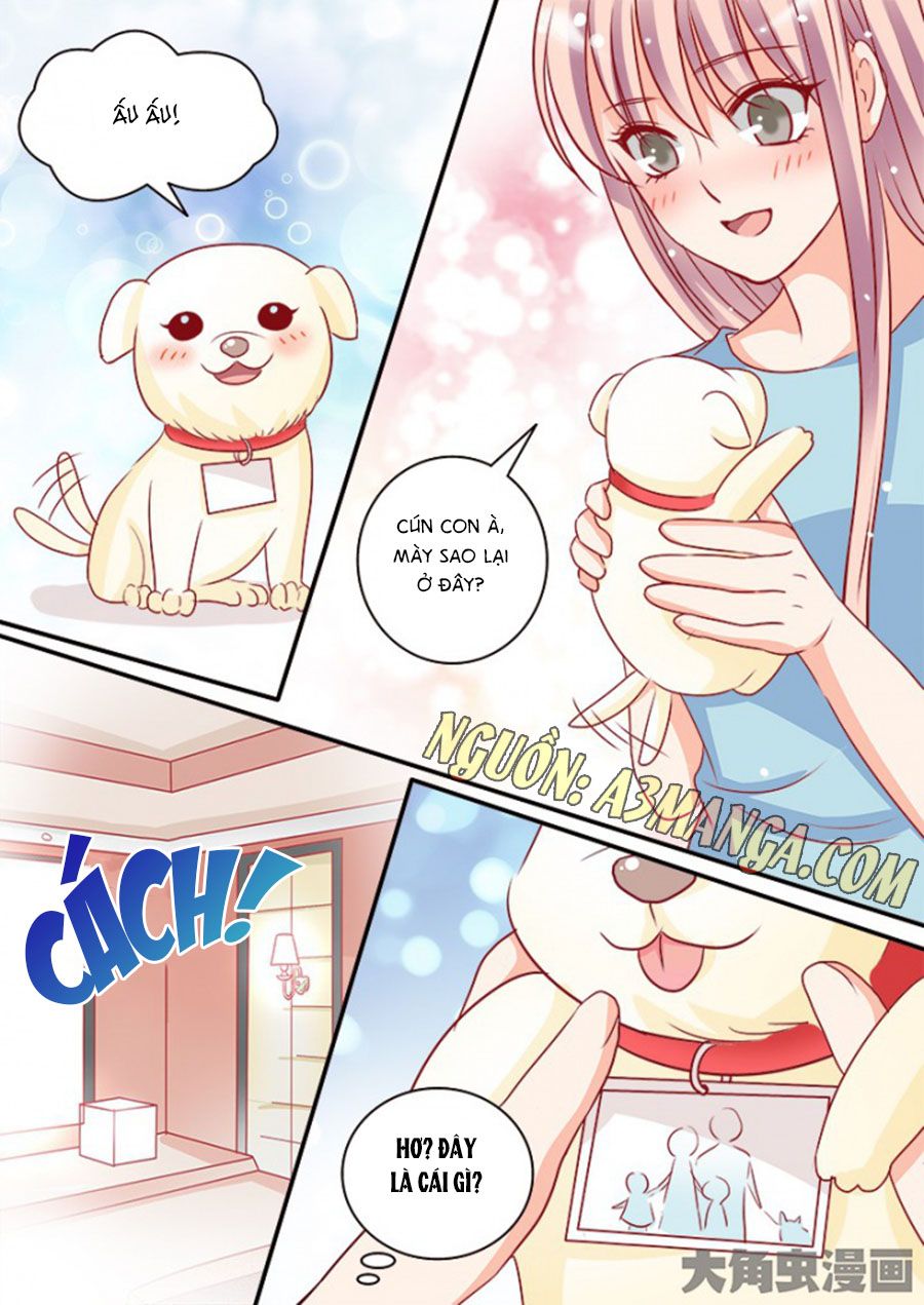 Bá Đạo Tổng Tài Yêu Ta chapter 99 - Trang 3
