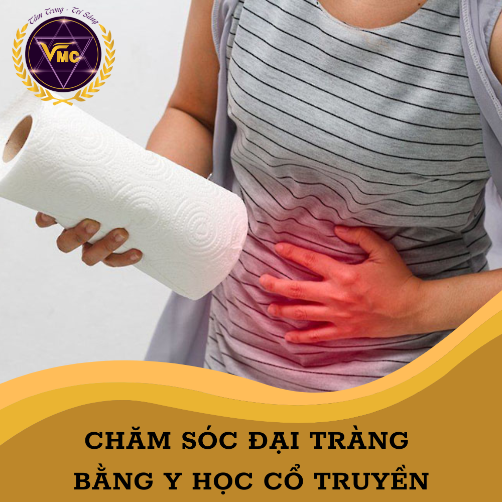 Khóa Học Video Online Chăm Sóc ĐẠI TRÀNG Bằng Y Học Cổ Truyền - Trung Tâm Chăm Sóc Sức Khỏe VMC