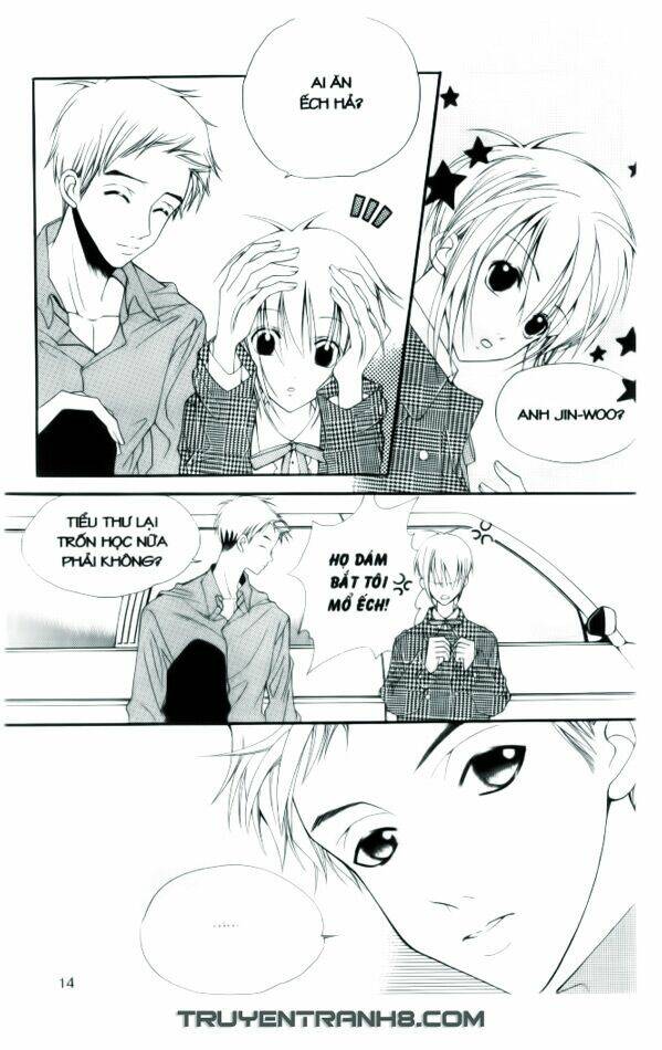 ngọc trong đá-ace chapter 1 15