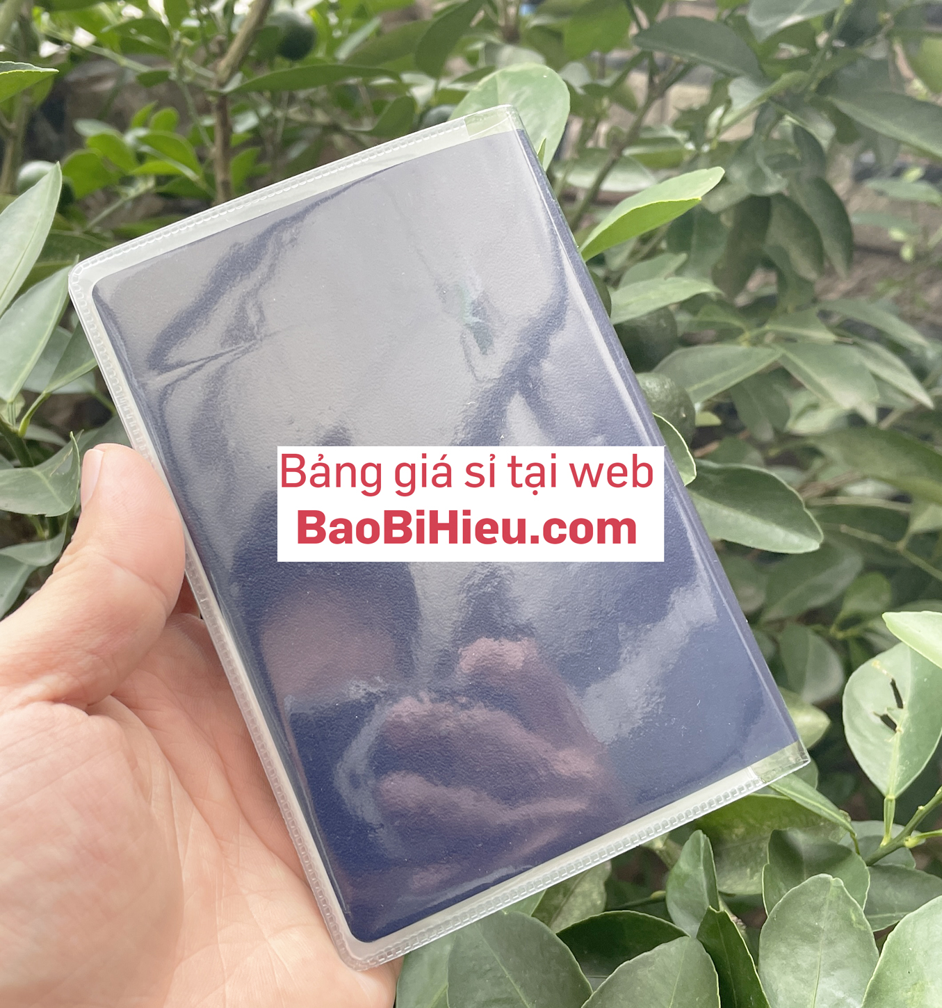 Bao Bọc Hộ Chiếu - Passport Dẻo Trong Suốt