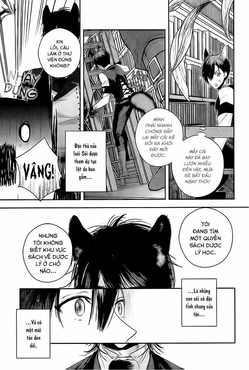 sói đen và cáo bạc chapter 1 11