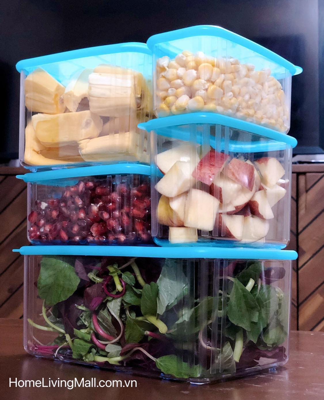 Bộ Trữ Mát Tupperware Fresh Clear Set 5