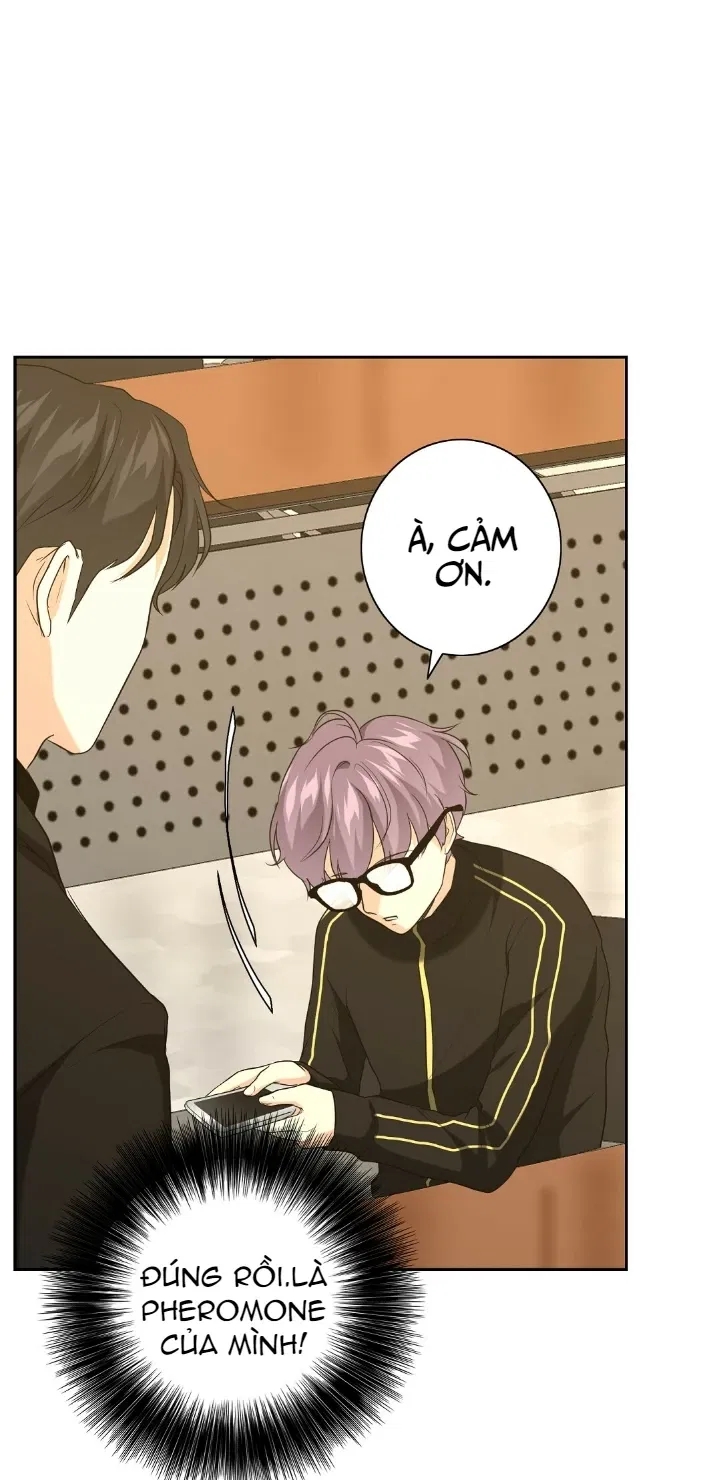 bí mật của omega k chapter 14 43