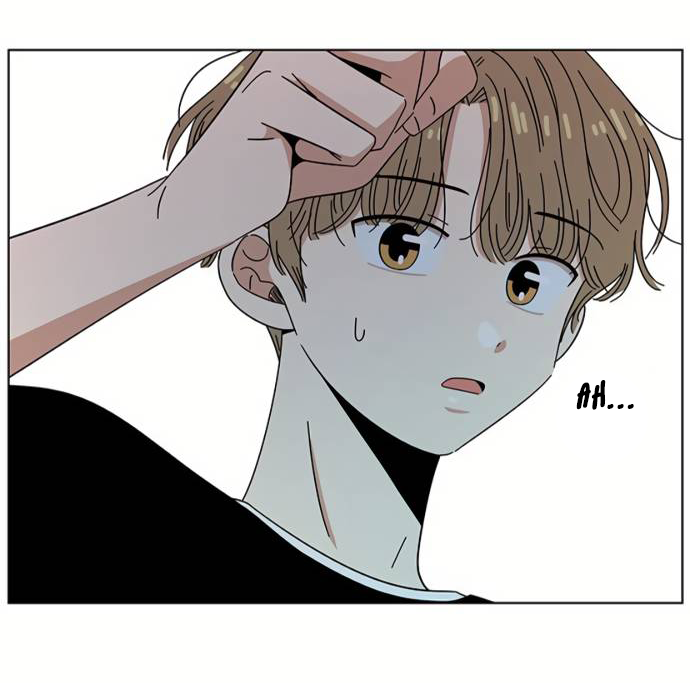 thanh xuân rực rỡ - season of blossom chapter 41 5