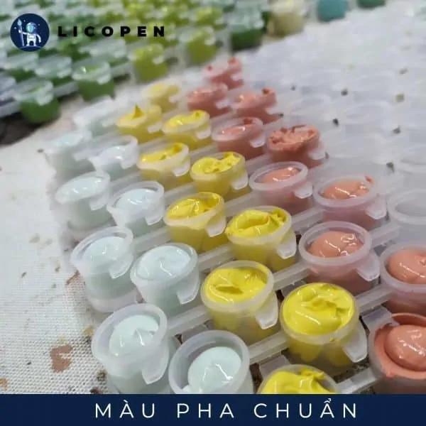 Tranh Tô Màu Theo Số Licopen - Bộ 3 tranh - Cô Gái Dân Tộc