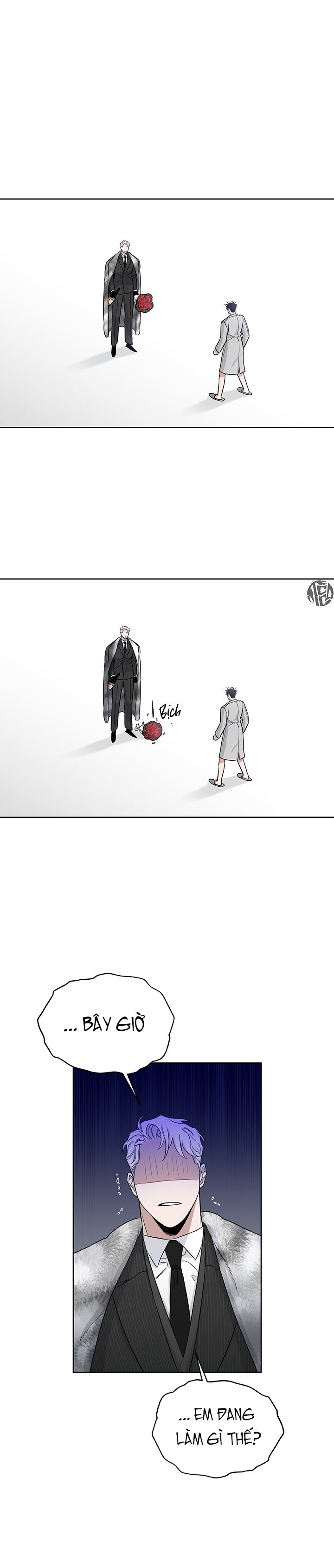 đoá hồng và ly champagne chapter 0.2 26