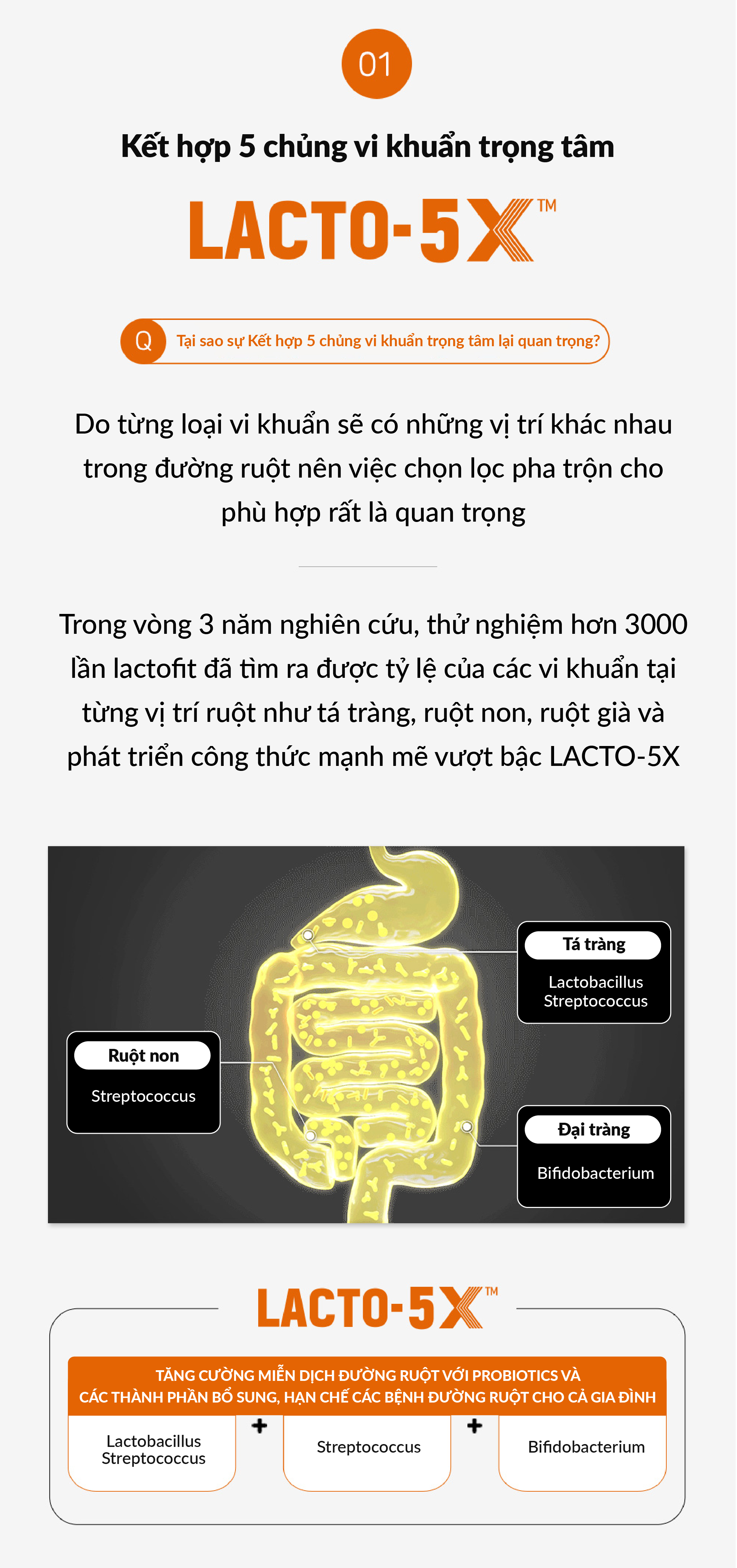 50 Gói Men Vi Sinh LACTO-FIT GOLD Bổ Sung Lợi Khuẩn Cải Thiện Đường Ruột Khỏe Mạnh