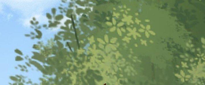 bảo vật rơi xuống đều thành muội tử chapter 3 19