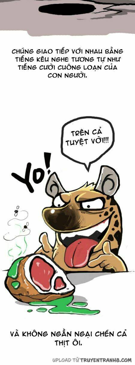 earth, human, and animal chapter 16 7