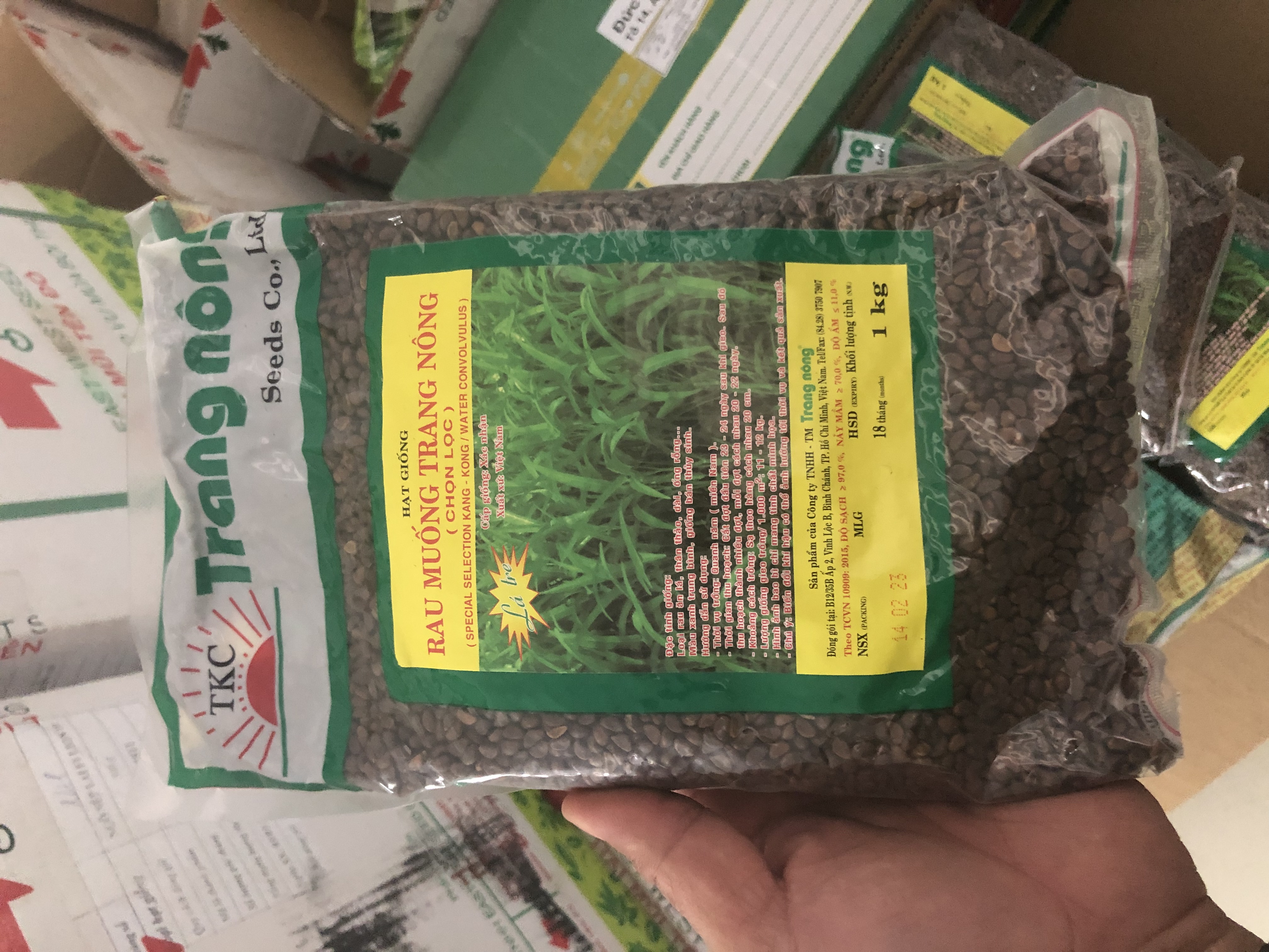 1kg hạt giống rau muống trang nông
