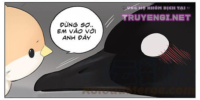 sẻ chiếu mới và nhạn phong sương chapter 3 10