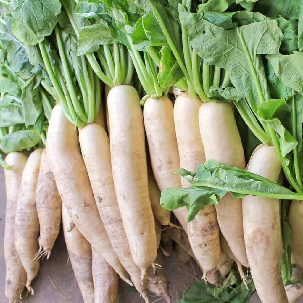 Hạt Giống Củ Cải Trắng F1 Siêu Dễ Trồng
