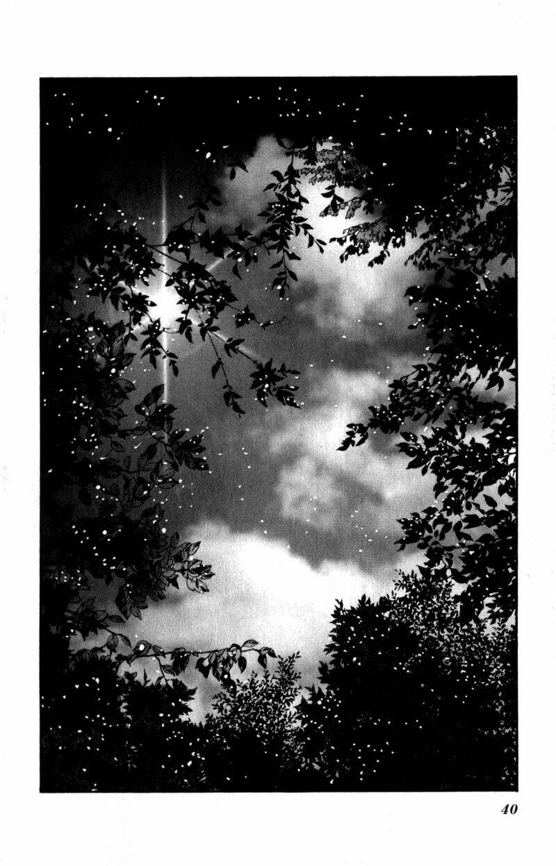 7 mầm sống chapter 62 40