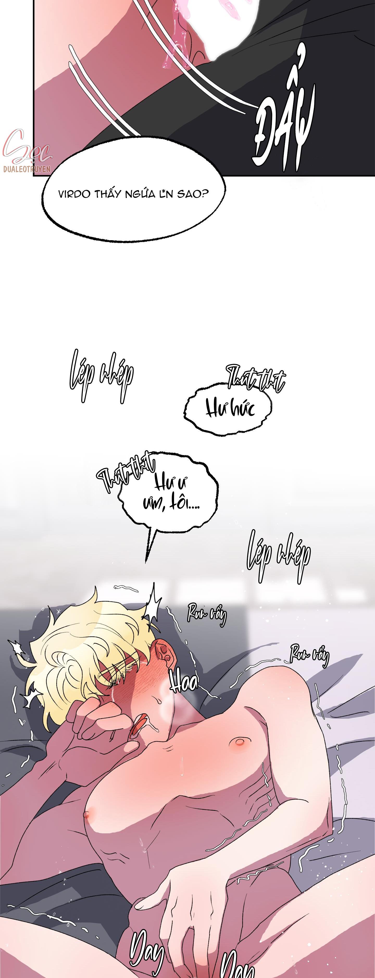 cá mập và cô dâu thỏ chapter 12 5