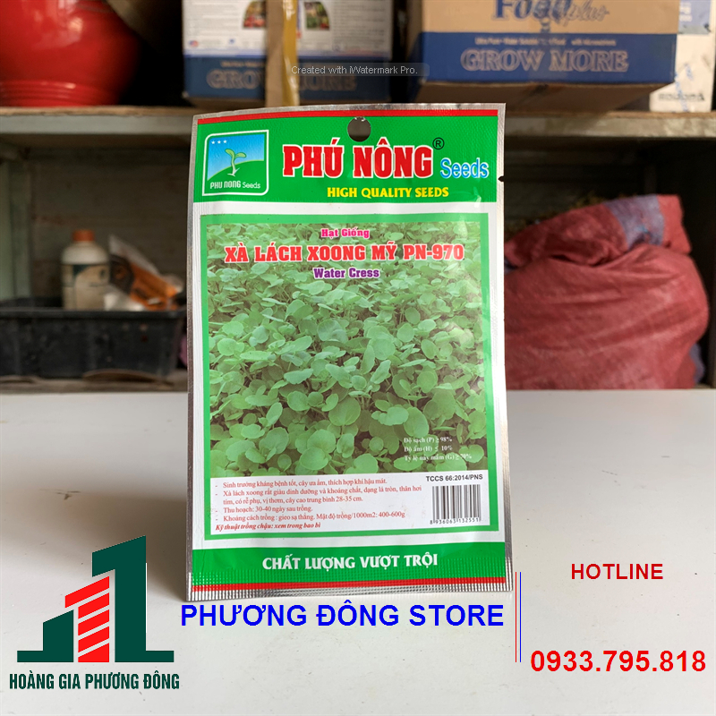 Combo 5-10 gói hạt giống rau Xà lách xoong chịu nhiệt, kháng bệnh tốt