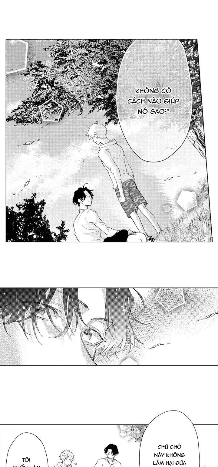 hiyoko-chan to harinezumi-kun chapter 3 27