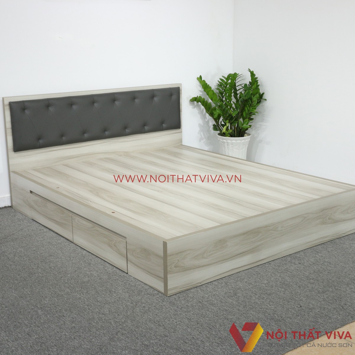 Giường Ngủ MDF Melamine Màu Xám Nhạt Vân Gỗ Có Hộc Kéo + Đầu Nệm Đen Đẹp