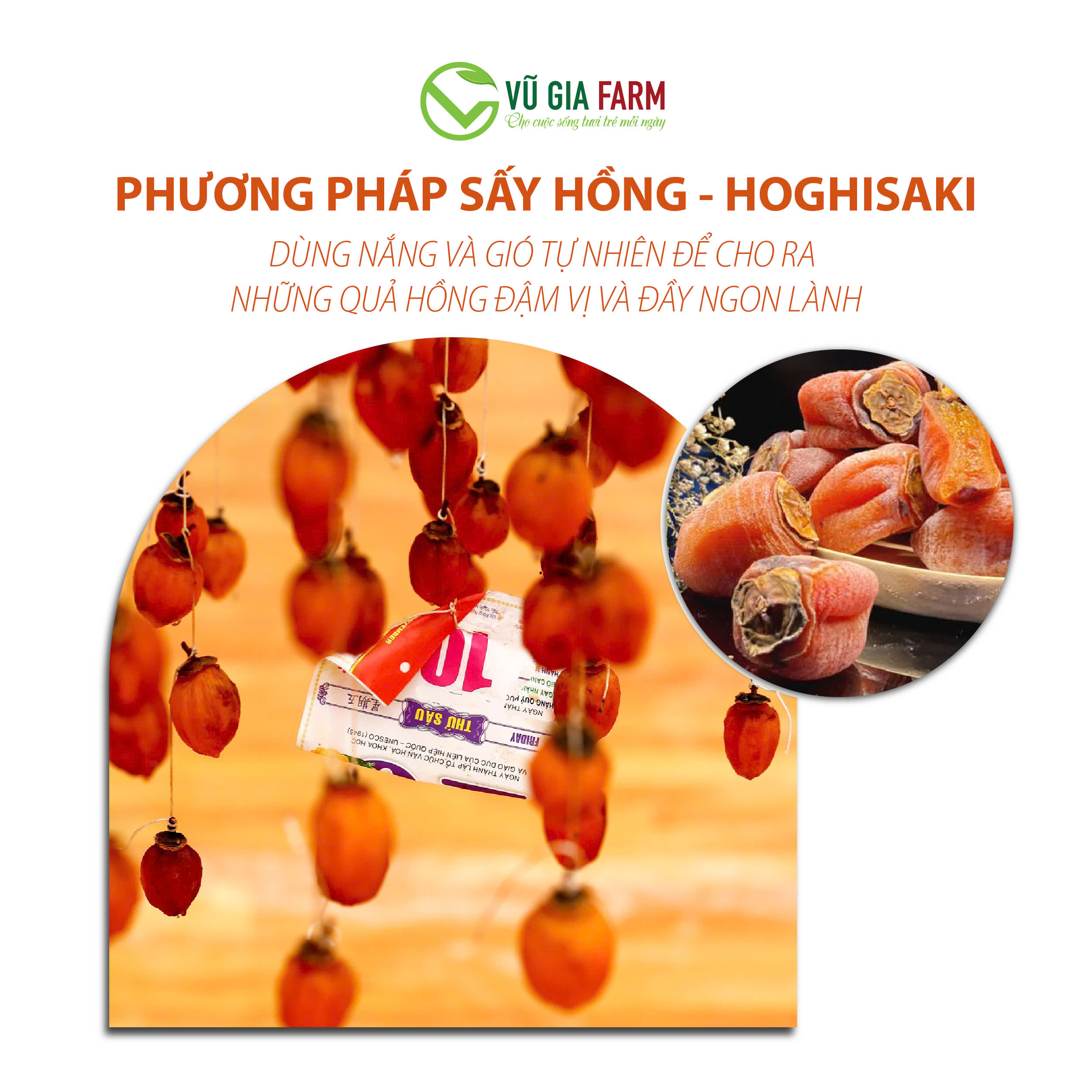 Hồng Treo Gió Đà Lạt - Treo gió tự nhiên, mật béo dẻo thơm ngon, đặc sản mùa thu Đà Lạt