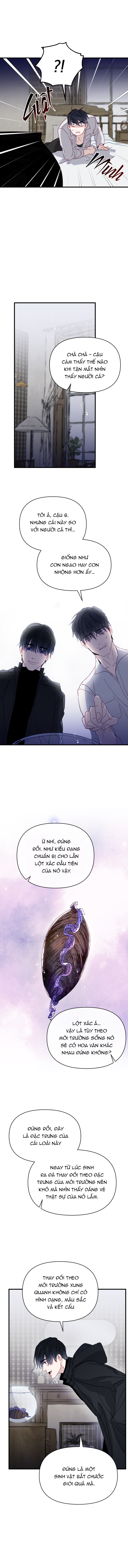 chàng tiên cá trên cạn chapter 1 17