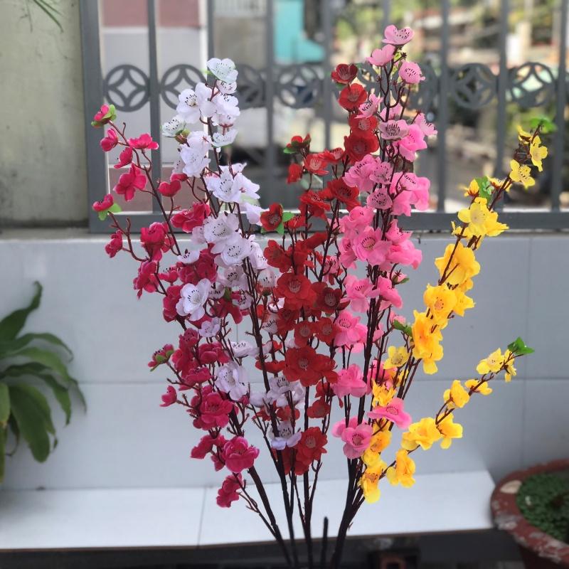 SỈ 10 CÀNH HOA MAI, HOA ĐÀO NGÀY TẾT 1 MÉT SIÊU RẺ