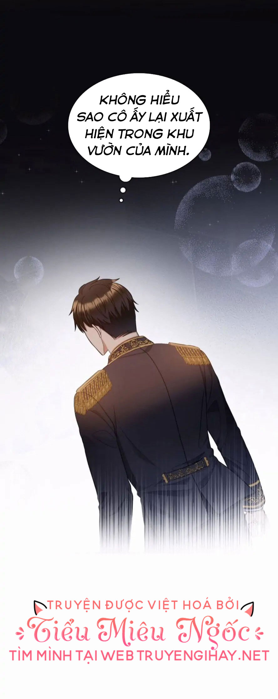 mặt nạ của hoàng đế chapter 27 27