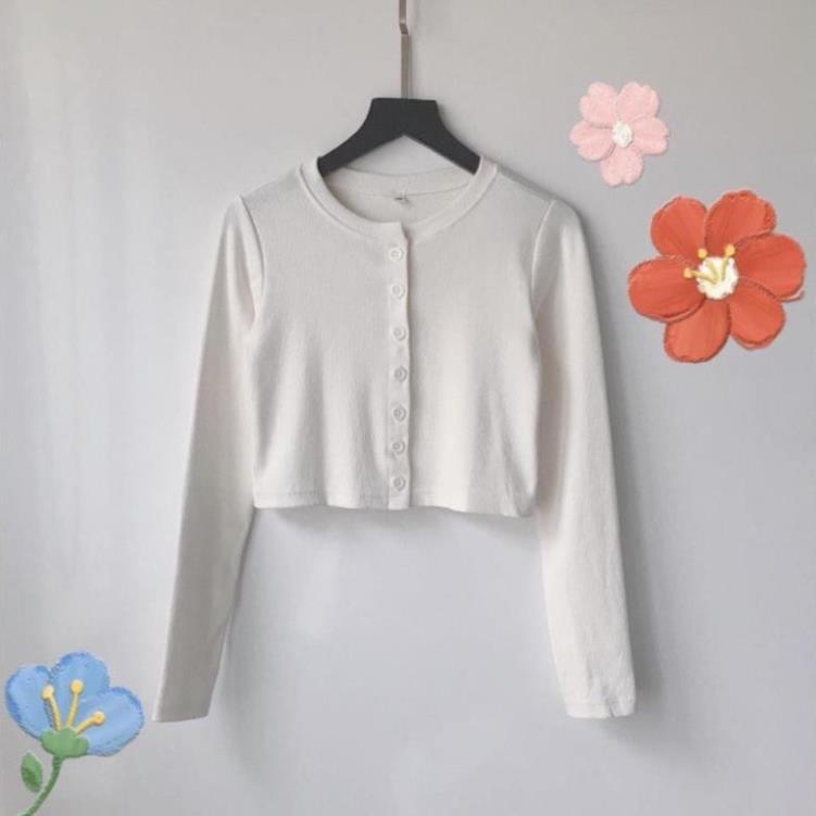 Áo Croptop YAN Tay Dài Nữ