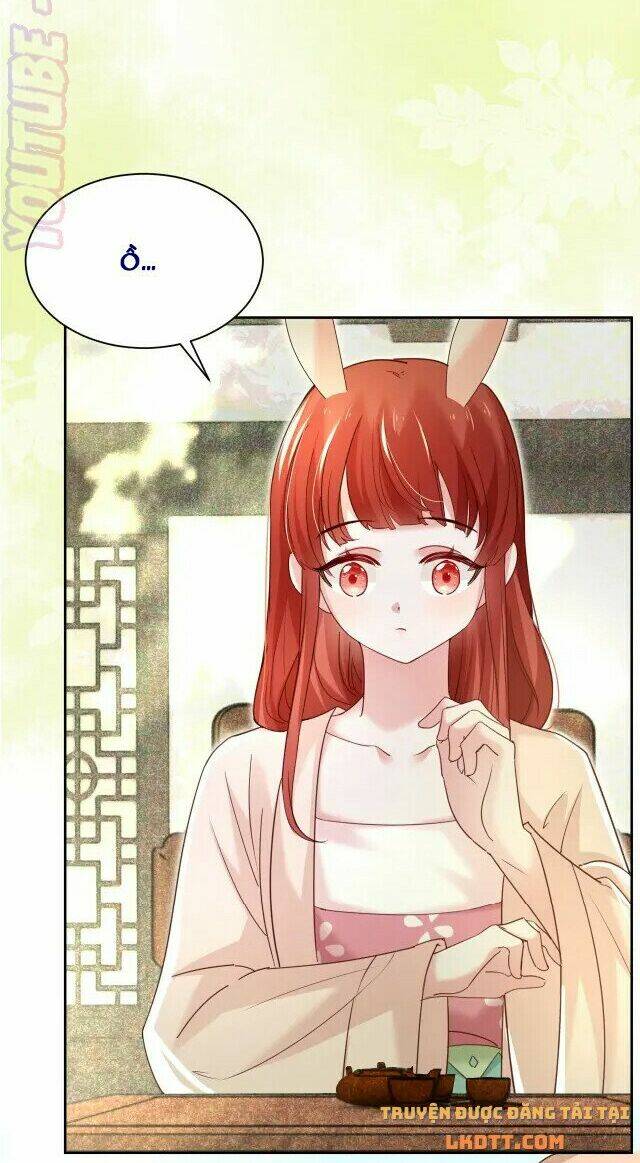 hắc hóa nam chính trực tuyến nuôi thỏ chapter 44 9