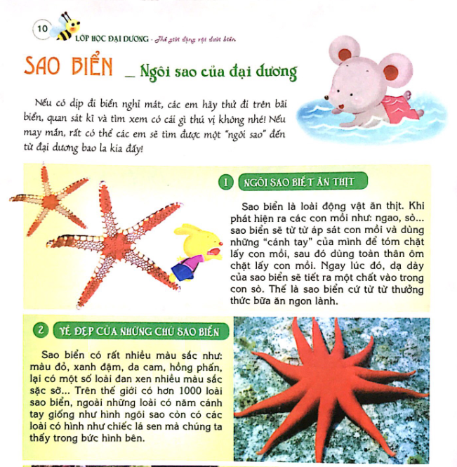 Sách Bách khoa tri thức đầu đời cho trẻ em - Bộ 9 cuốn