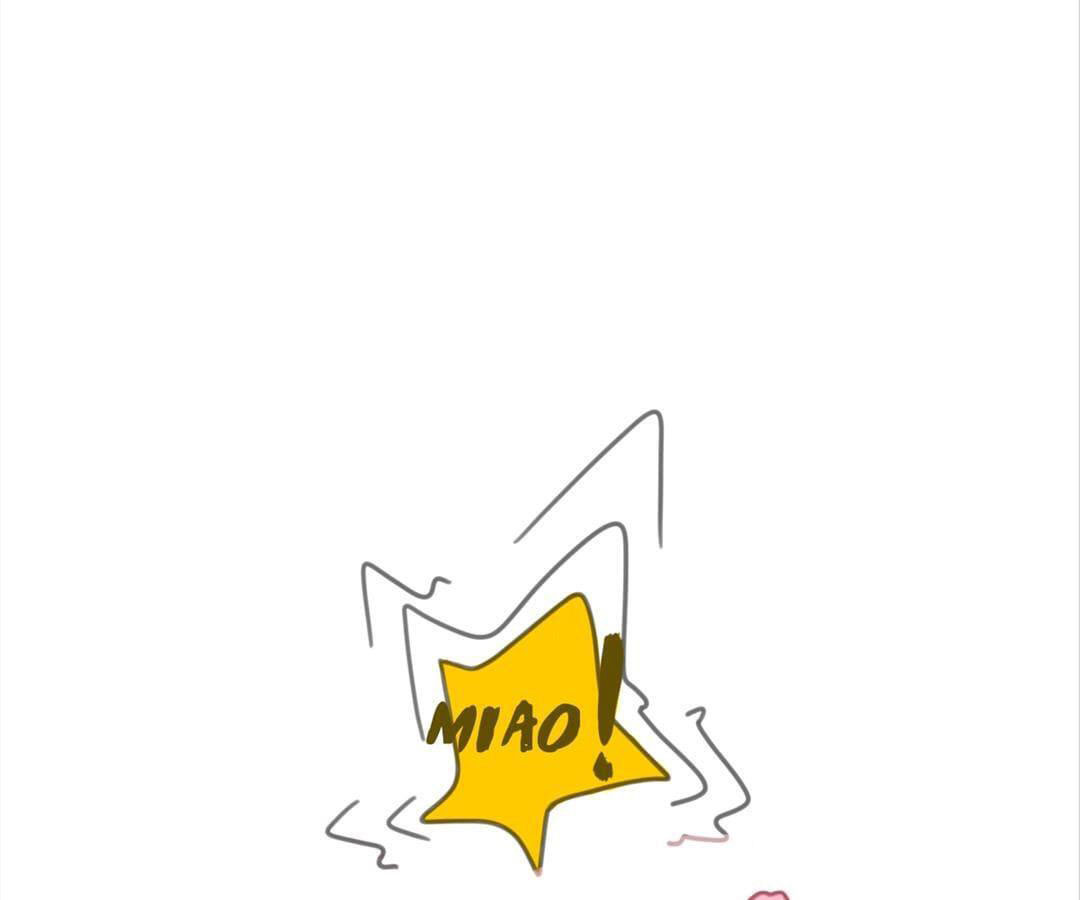 social cat chapter 1 85