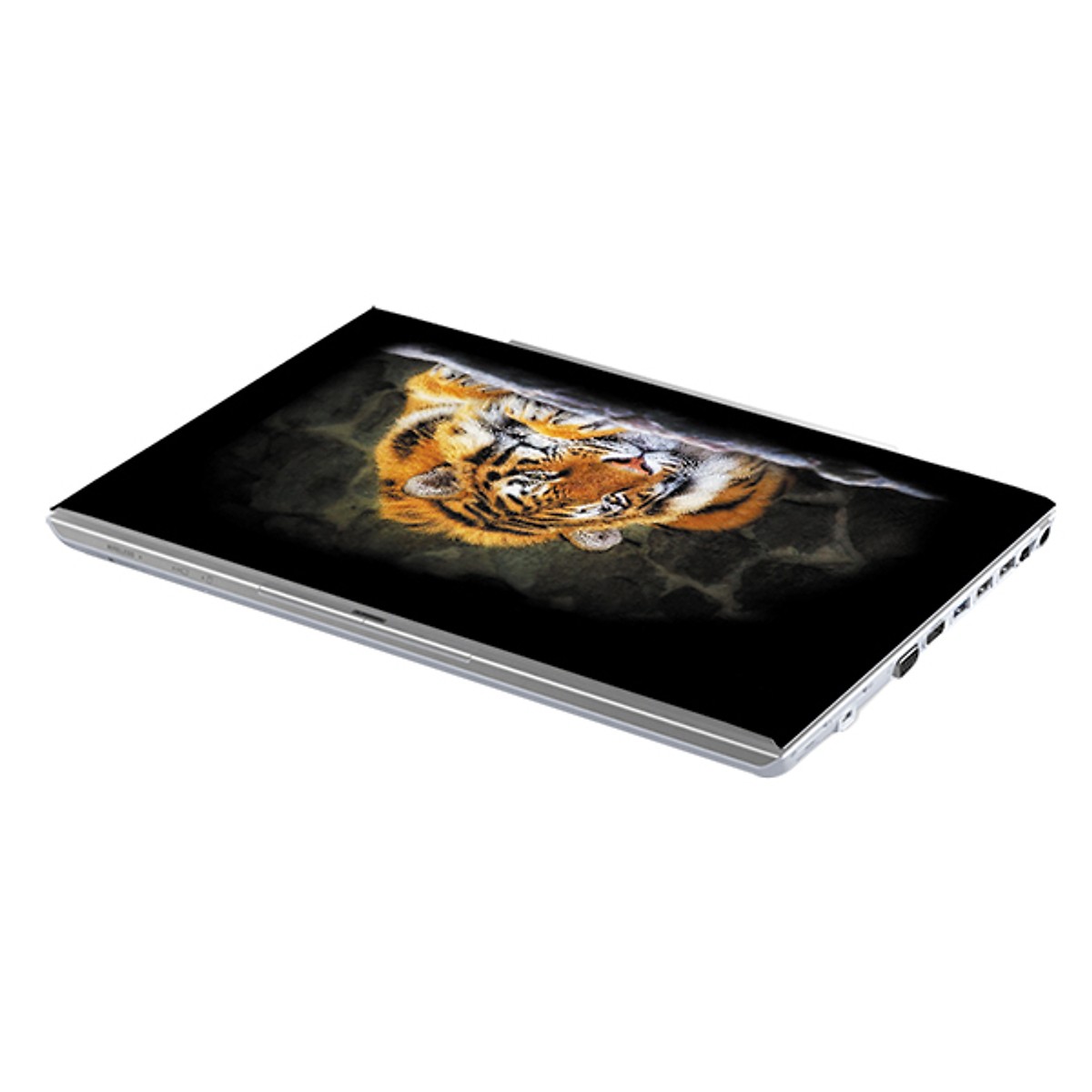 Mẫu Dán Decal Laptop Nghệ Thuật LTNT-359 cỡ 13 inch