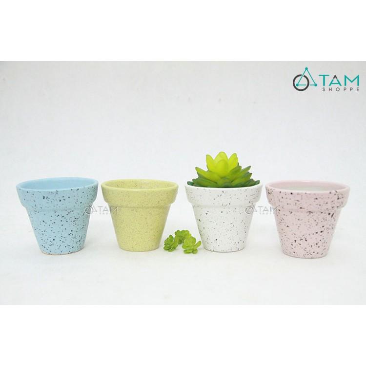 Chậu gốm mini trồng cây để bàn số 61