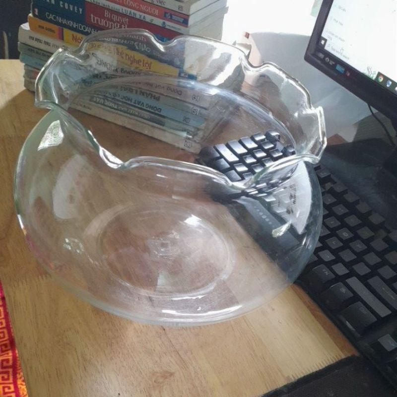 Bể cá thủy tinh để bàn 30 cm