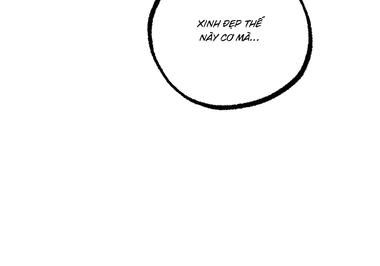 những chú thỏ của hapypy chapter 60 257