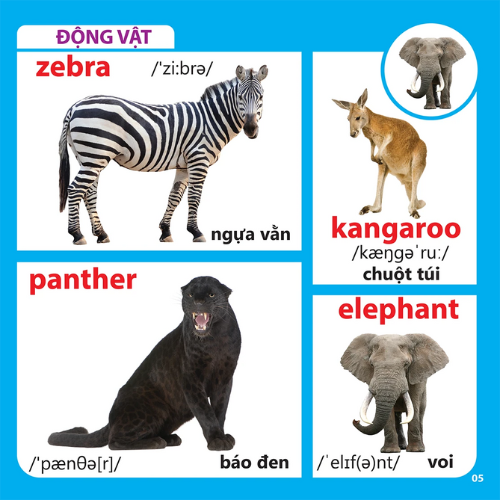 Bách Khoa Toàn Thư Cho Bé - Động Vật (Tái Bản 2019)