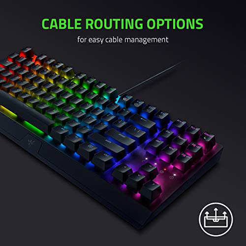 Bàn phím Razer Blackwidow V3 Tenkeyless-Mechanical-US Layout-Yellow Switch_Hàng chính hãng