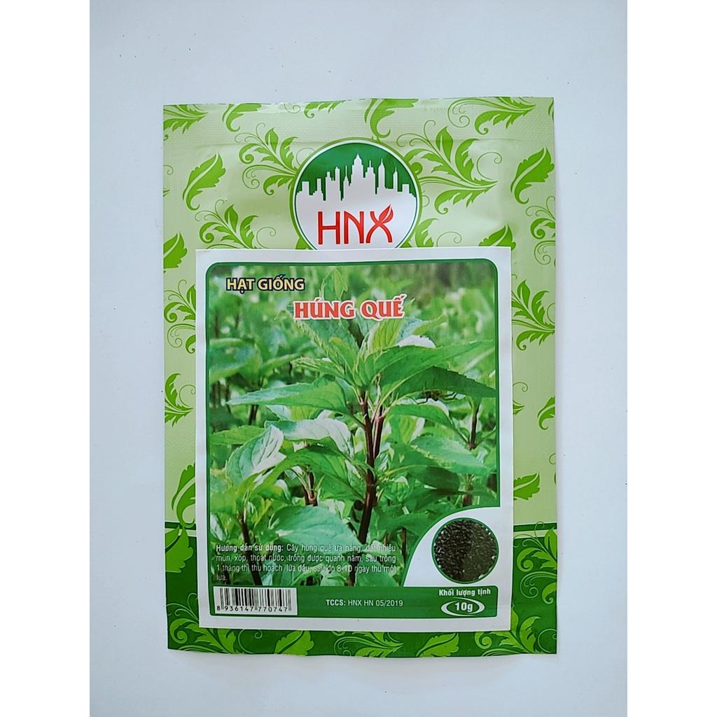 Hạt giống húng quế cao sản, dễ trồng, chịu nhiệt tốt gói 10g