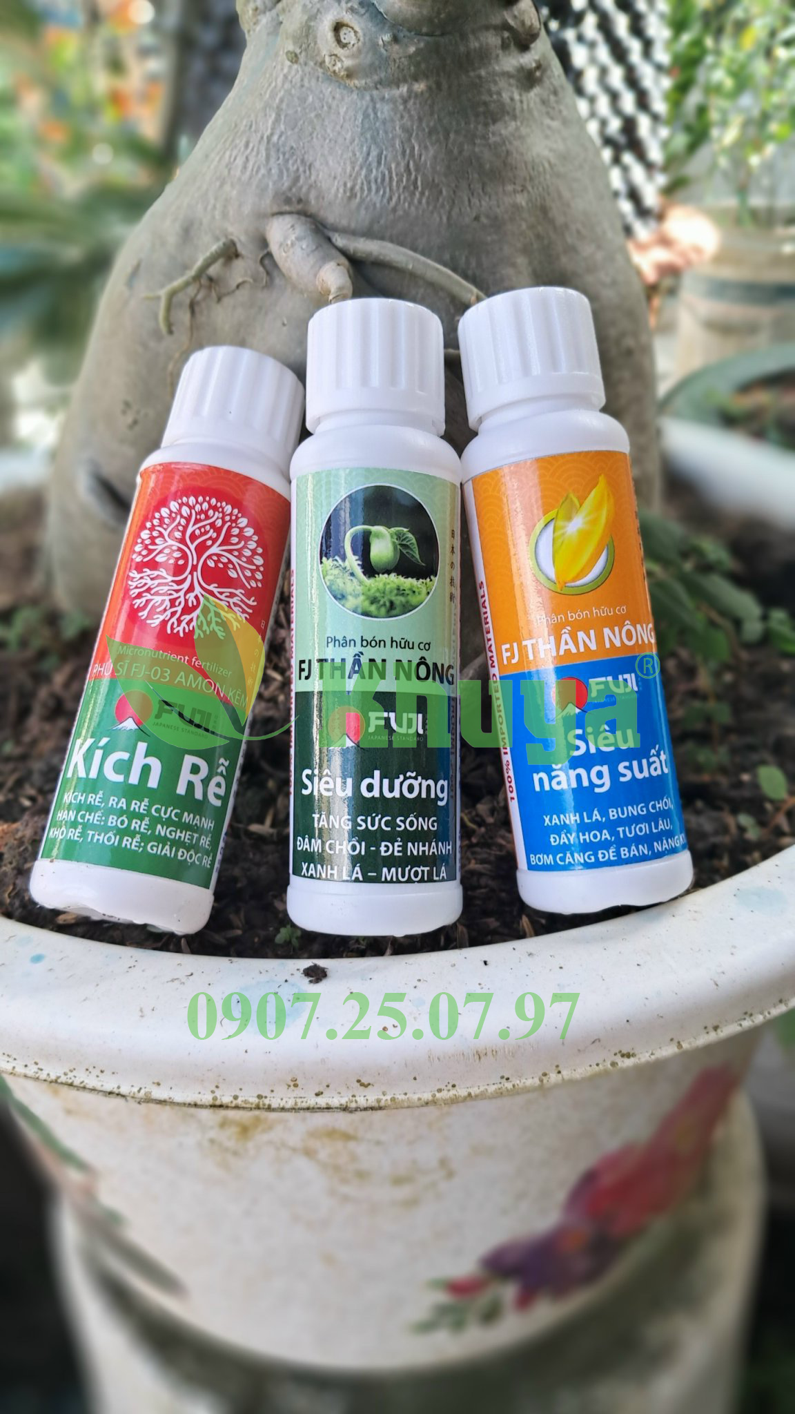 Fuji Siêu năng suất 50ml  Xanh lá - Bung chồi  Đầy hoa - Tươi lâu  Bơm căng để bán - Nặng ký