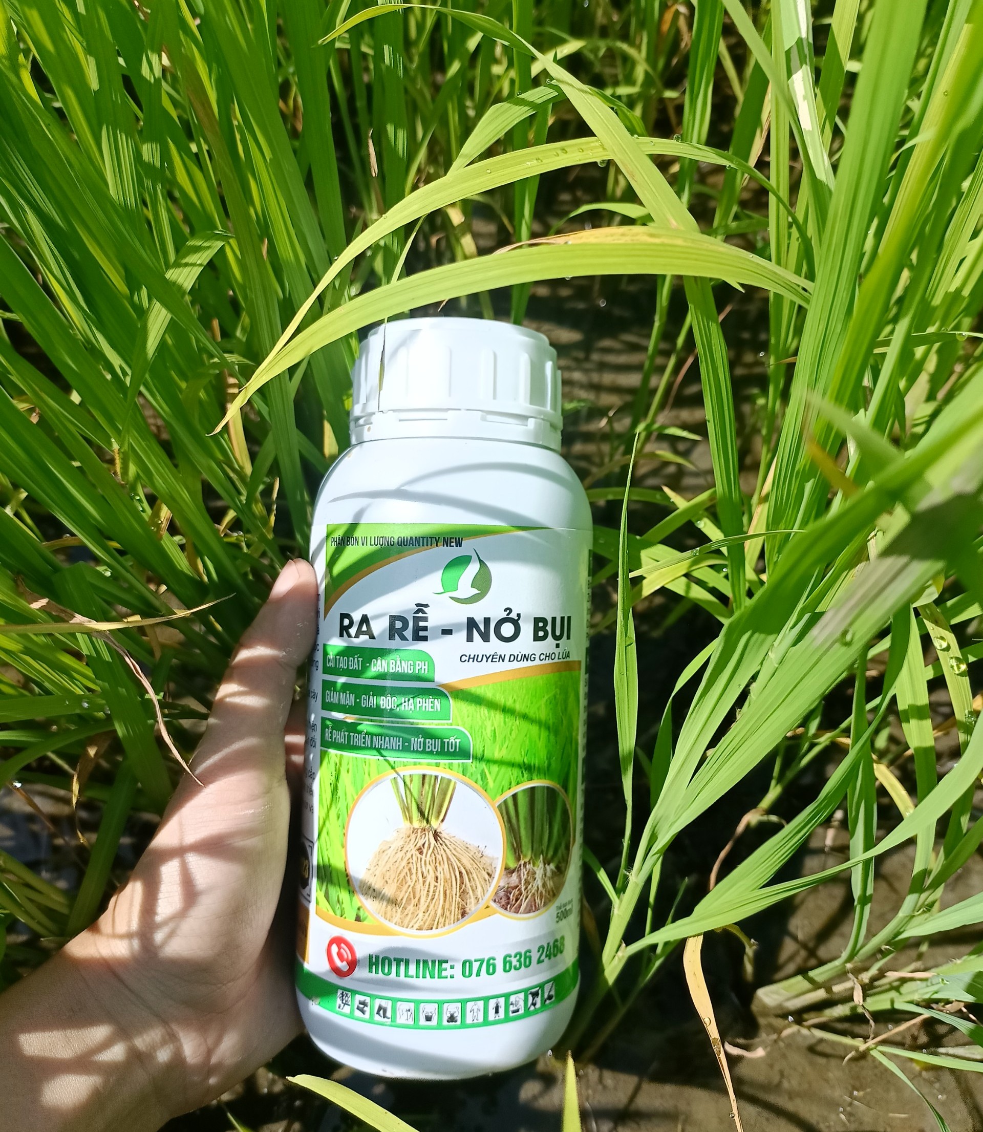 PHÂN BÓN CHO LÚA GIAI ĐOẠN 7-35 NGÀY, RA RỄ CỰC MẠNH, ĐẺ NHÁNH CỰC NHANH, TĂNG KHẢ NĂNG CHỐNG CHỊU MƯA BÃO - RA RỄ NỞ BỤI CHAI 500ML VÀ 1L