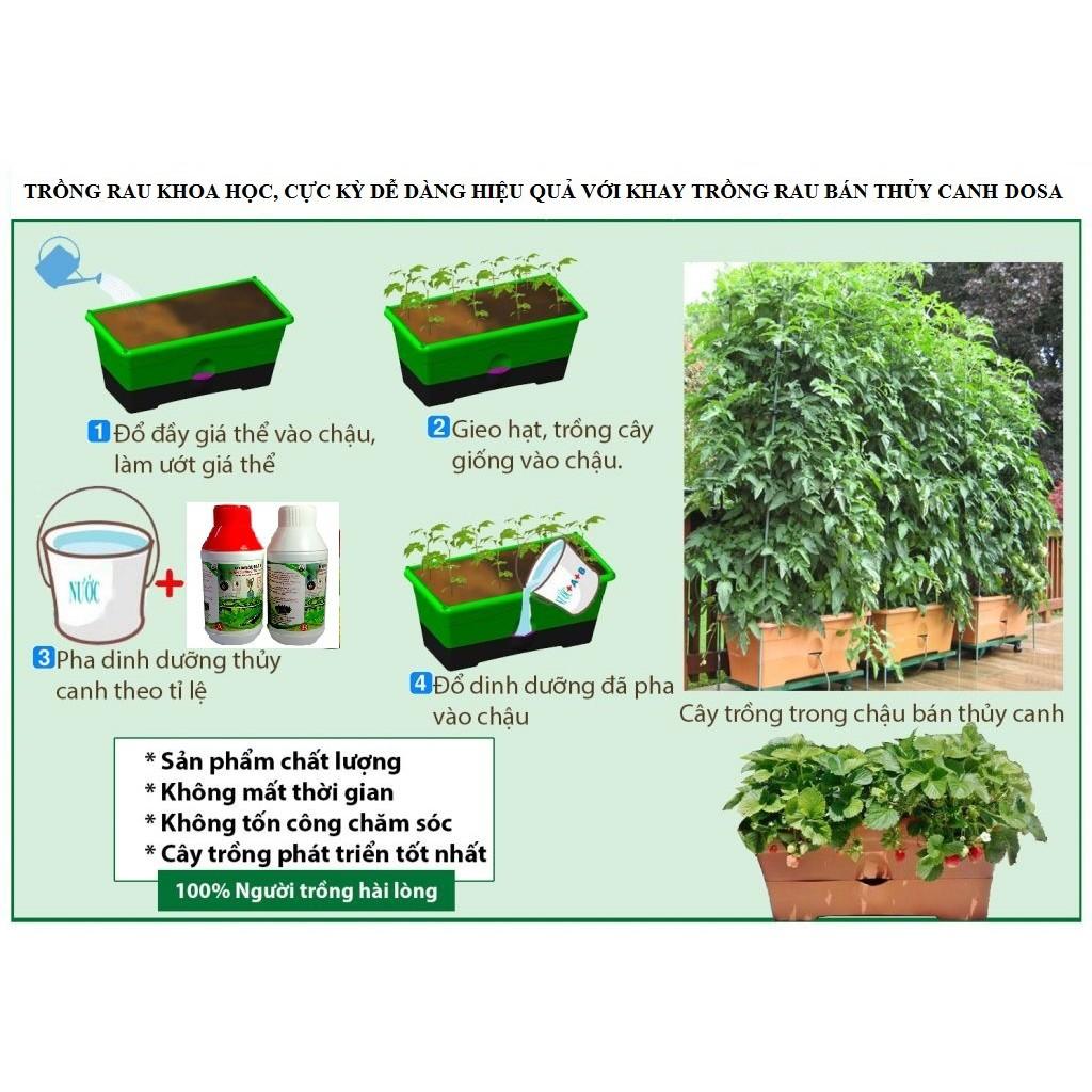 Combo 5 Khay Trồng Rau Bán Thủy Canh Dosa - Cung Cấp Bởi Trồng Rau Đô Thị