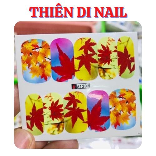 Stick nước 3D trang trí móng Thiên Di Nail