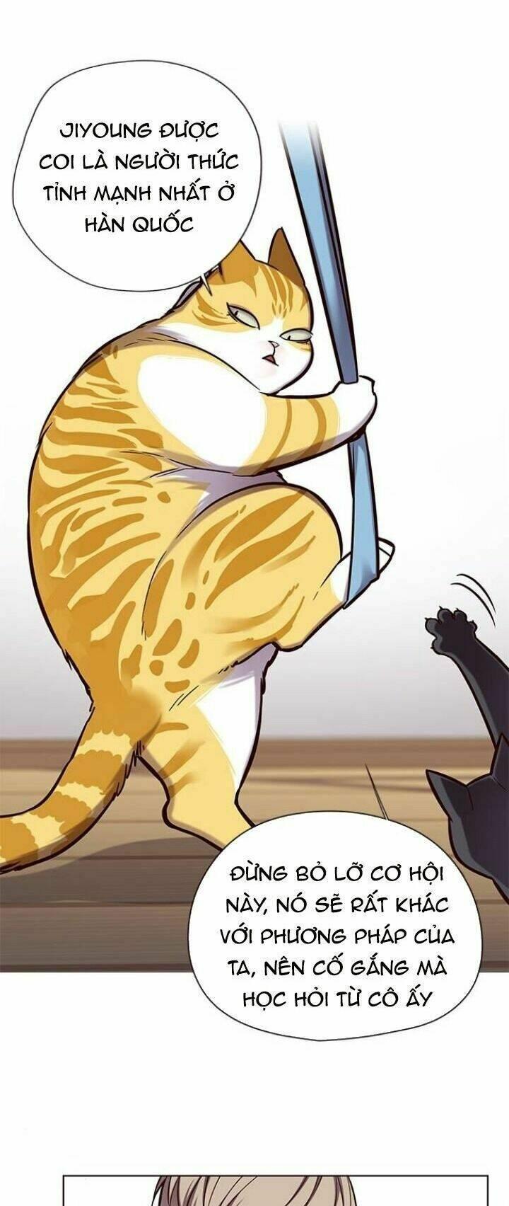 biến thân thành mèo chapter 118 7
