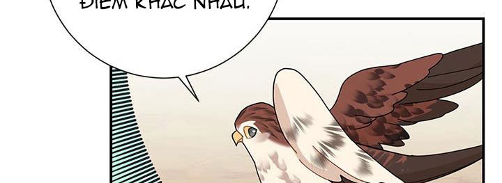 công chúa của loài chim chapter 49.1 122