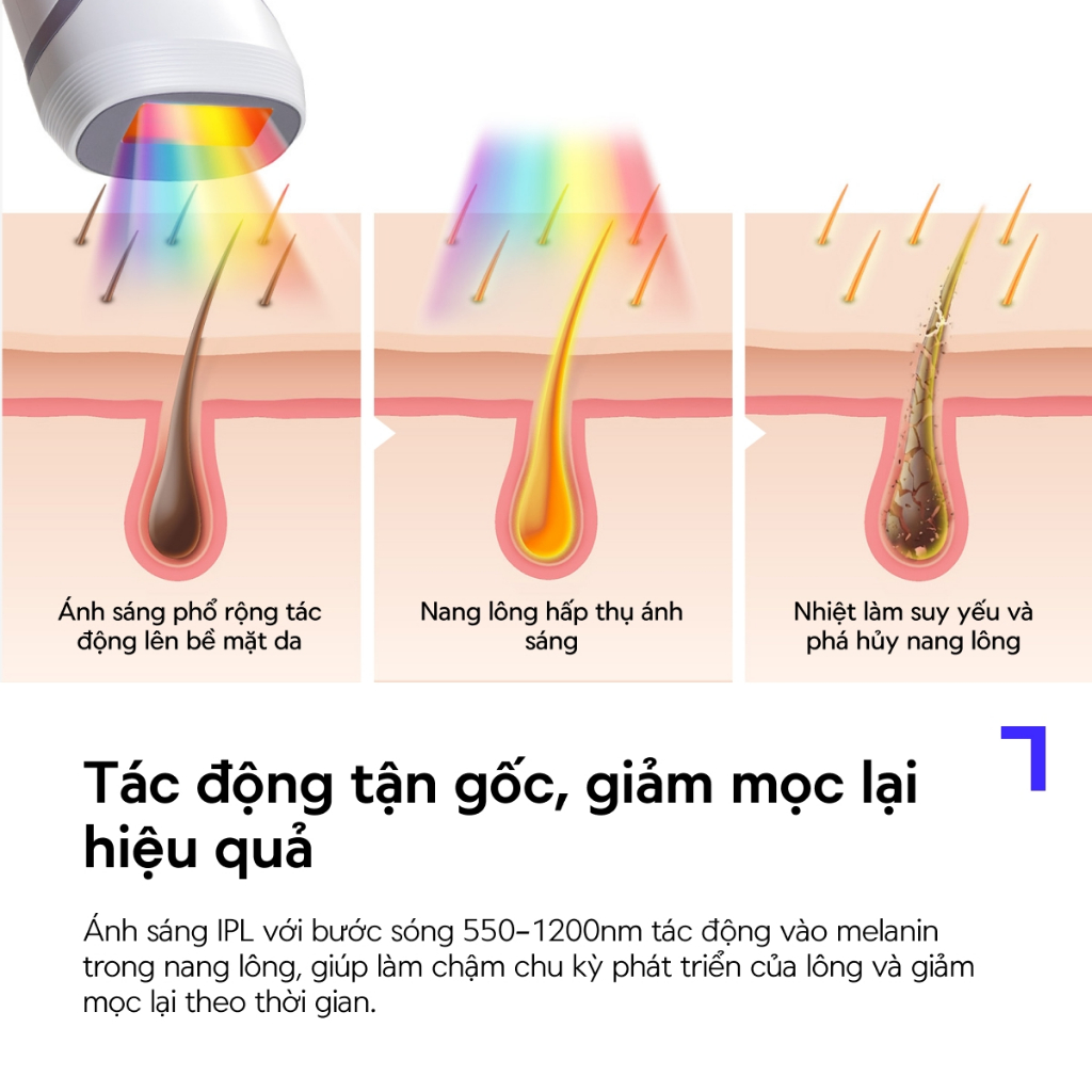 Máy triệt lông LocknLock IPL Công Nghệ Làm Lạnh Sapphire ENC312IVY 4 chế độ triệt - Hàng Chính Hãng - JoyMall