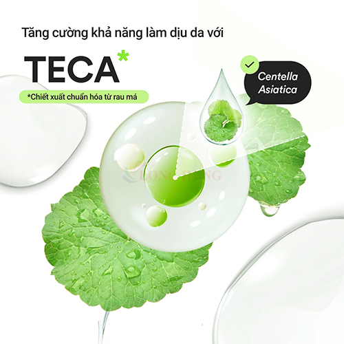 Tinh chất làm dịu da Abib Heartleaf Teca Capsule Calming Drop Serum (50ml) - Hàng chính hãng
