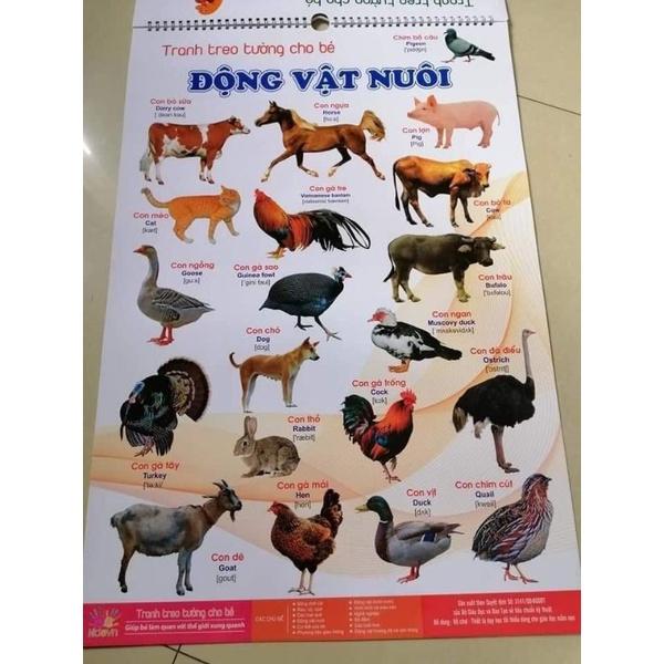 BỘ TRANH TREO TƯỜNG VỀ THẾ GIỚI XUNG QUANH 14 CHỦ ĐỀ CHO BÉTỪ 06 THÁNG ĐẾN 6 TUỔI.