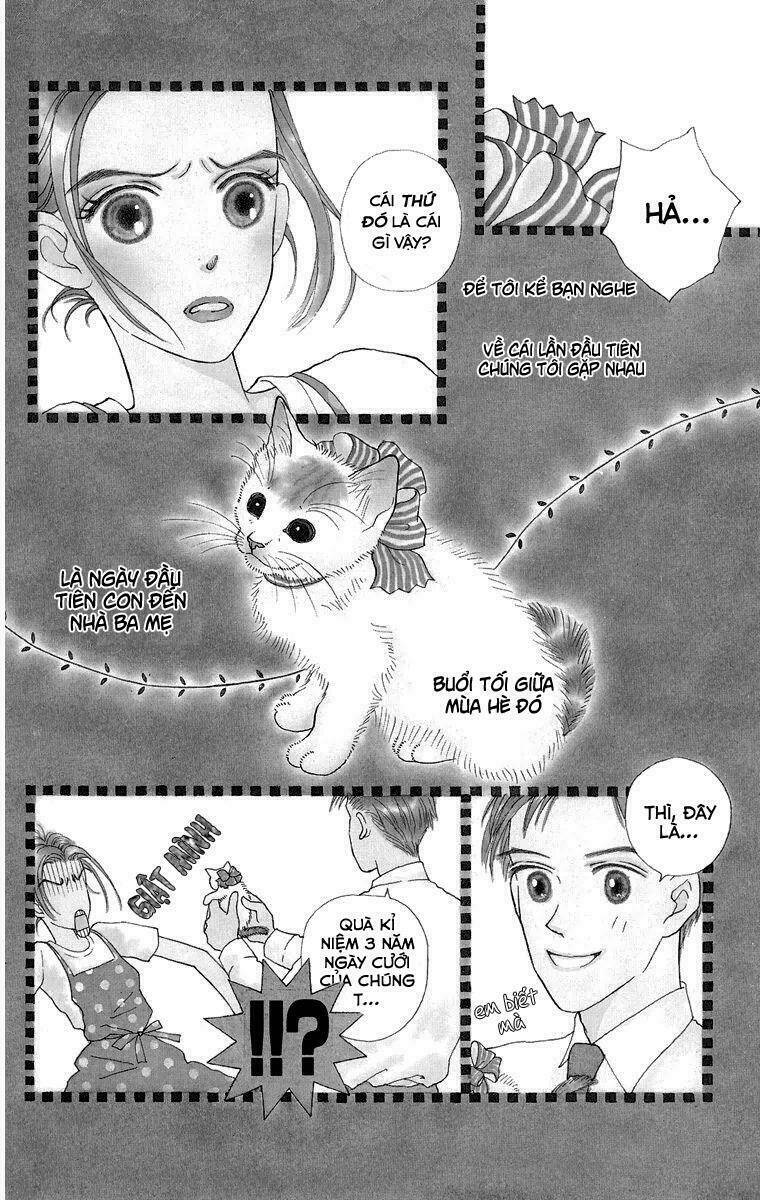 cuộc sống thường nhật của mèo zaccho chapter 1.5 4